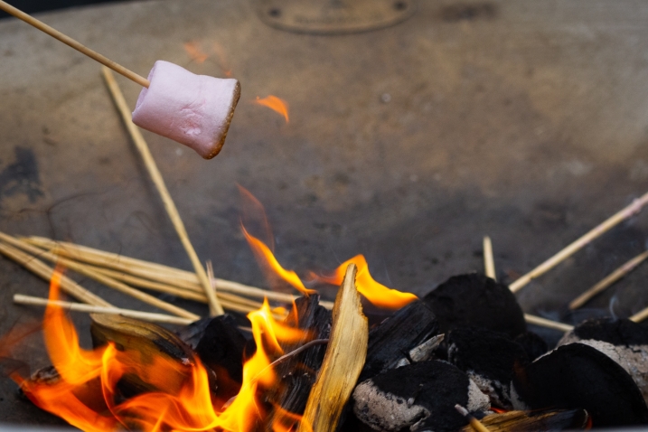 Marshmallow toasting.jpg